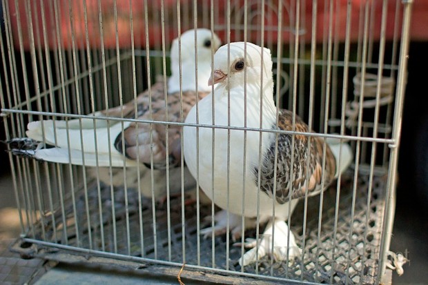 ��������