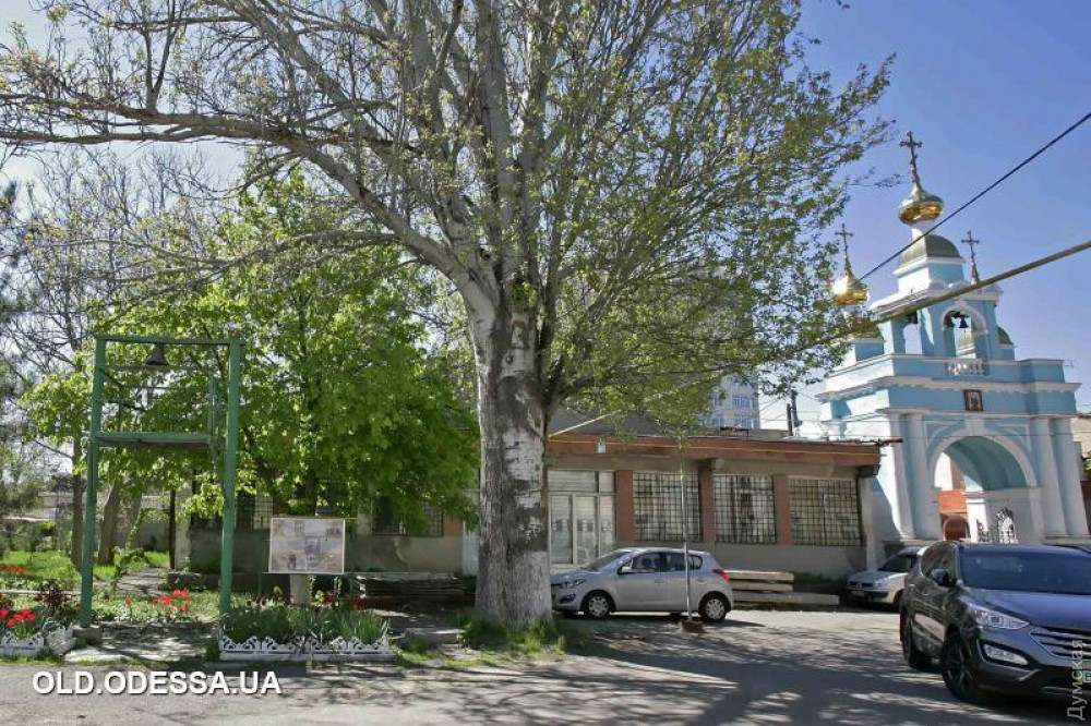 ����� � ���� - ���� old.odessa.ua