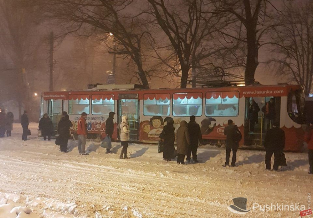 ���� "����������.���"