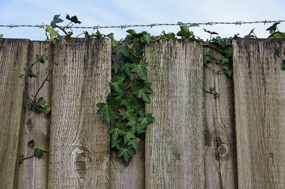 ����� �������, ����� ������, ������ �����