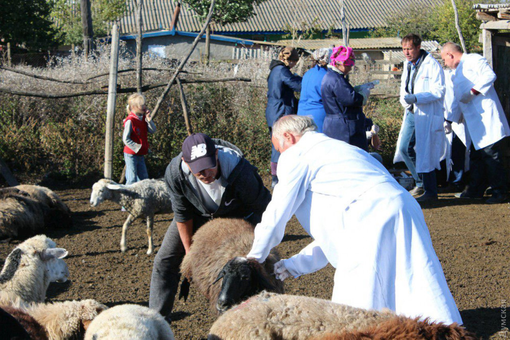 ���������� �������� ��������� ������������ ����� 