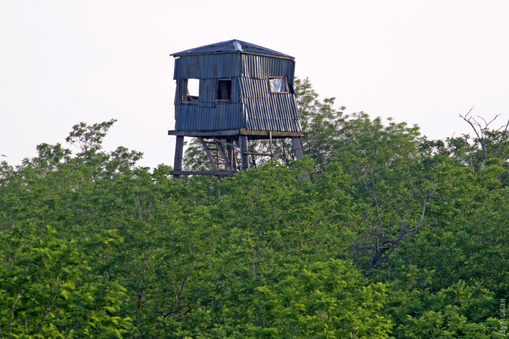 �������������� ����� �������� �������� ��������� ������