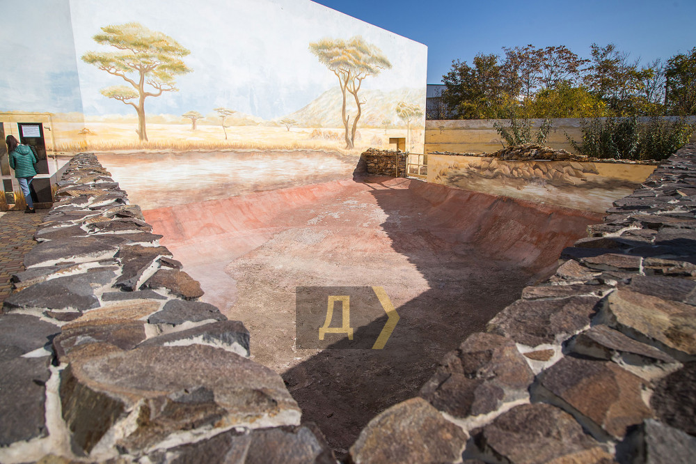 ������ ������