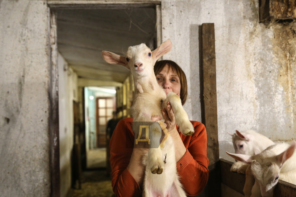 ����� ���������� ������� ������� ���������� ����������� ������ - ��� ��� ������� �� ���� ��������� ��������� ������