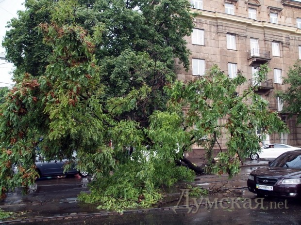 �������� ������ ������������ �������� ����� ��������������������� � ����������� � �����������������. ���������, ������� ��������, ���� �� ��������. ������� �����. ����: �. ���������