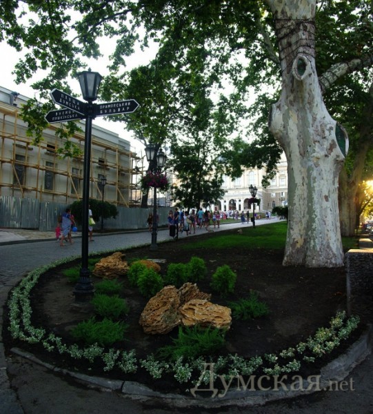 ��� ���������� ��������� �� ��������� �������� 