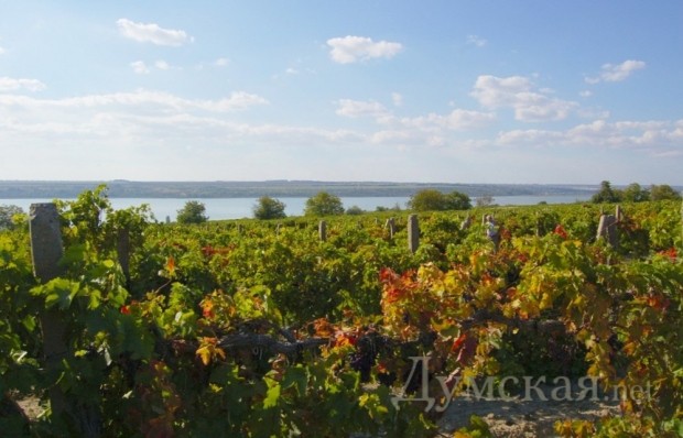 ����� - ���������� ������������ ����� �������. ���� � ����������� ����������� � ��������� ���� 