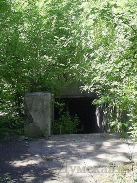 ����������� ��������� ������. ���� "�������� �����"