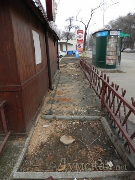 ��� "����" ����� ����� �������� 