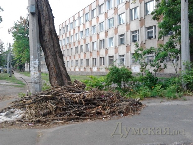 56-� �����