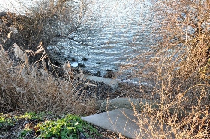 ����� � ���� - ���������� ������������ ����� ������� ������