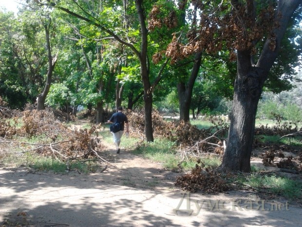 ���� � ���� �� ������� ����������