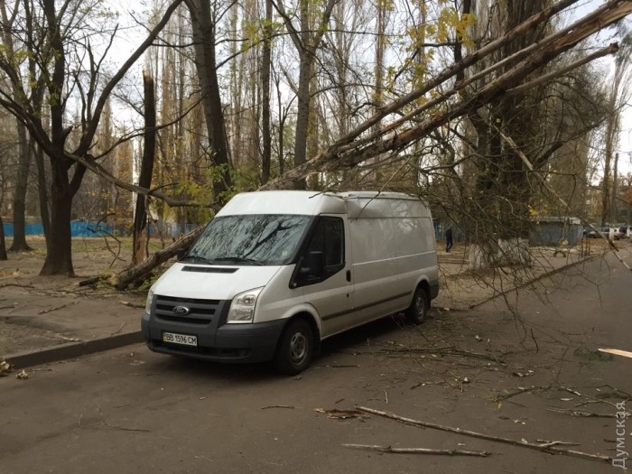 ���� ������ �����������