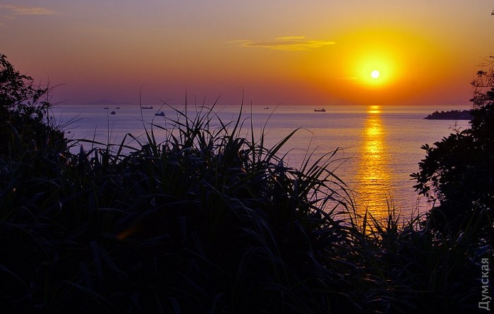 ������� ���������� �� ������� ������� �������� � ����� �����������. �� ��������� �������� ����������� ���������, ������� �������� ������ �� ��������. ��� ������� ������, �� �� ������ ����� ��������� ������ � �������, ��� ��� ���� �� ������� - �������� ������� ��� ��������