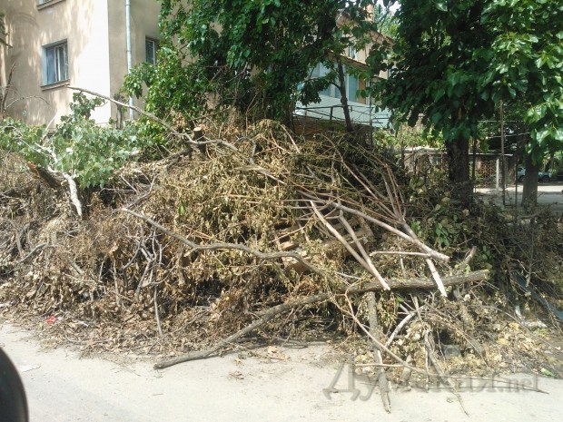  ���������, 54