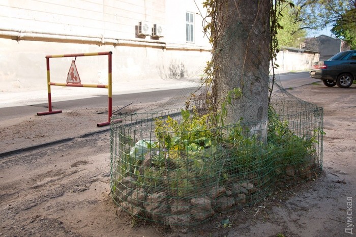 "������������" ����������