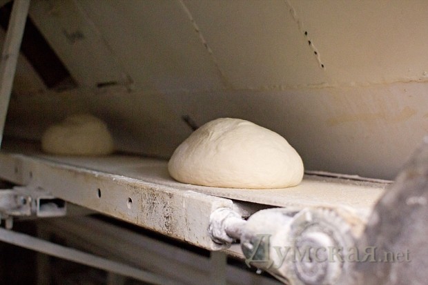 ������ ���������