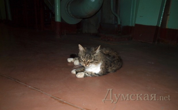 ����������� ����� � ������ �������-����������. �������� � �������� ���������