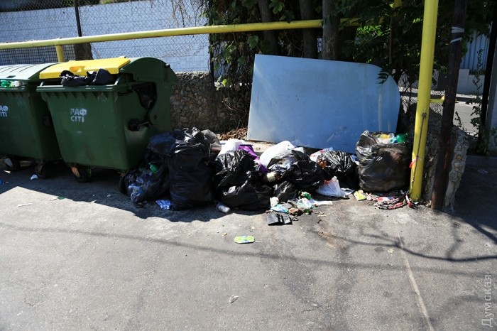 ����� ���� ������