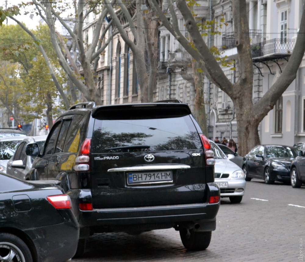 "�����" �������