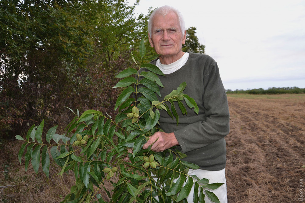 ������ �����