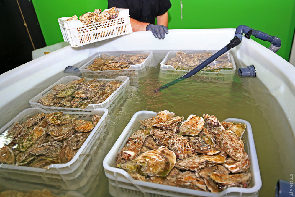 ������������� ��������� � �������� ����