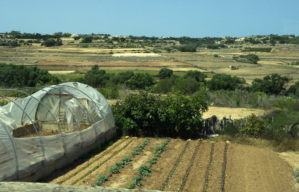 ������� � ������� �������� ���������