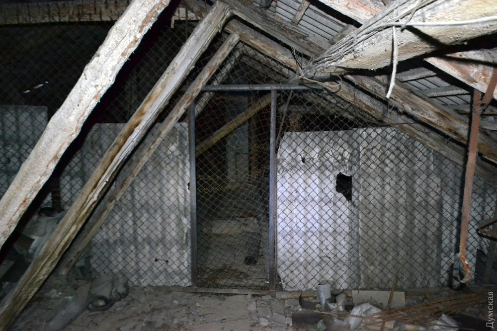 ������ ��� ��������� ��� �� ��������