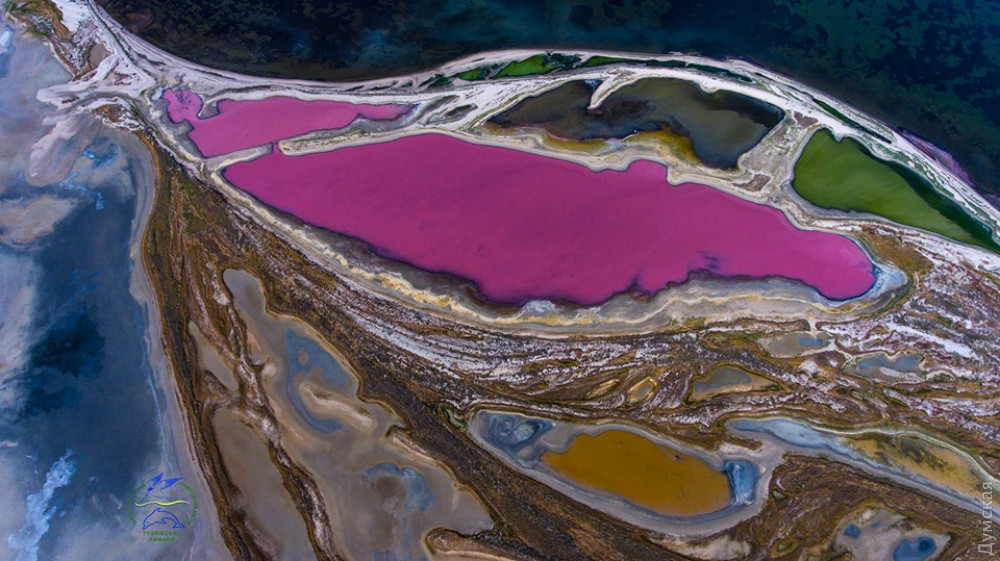 � ��� ��� ��������� ����� �����