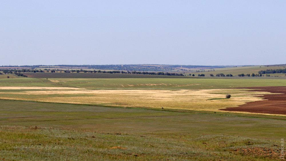 ������ ����� ���� ������-�����