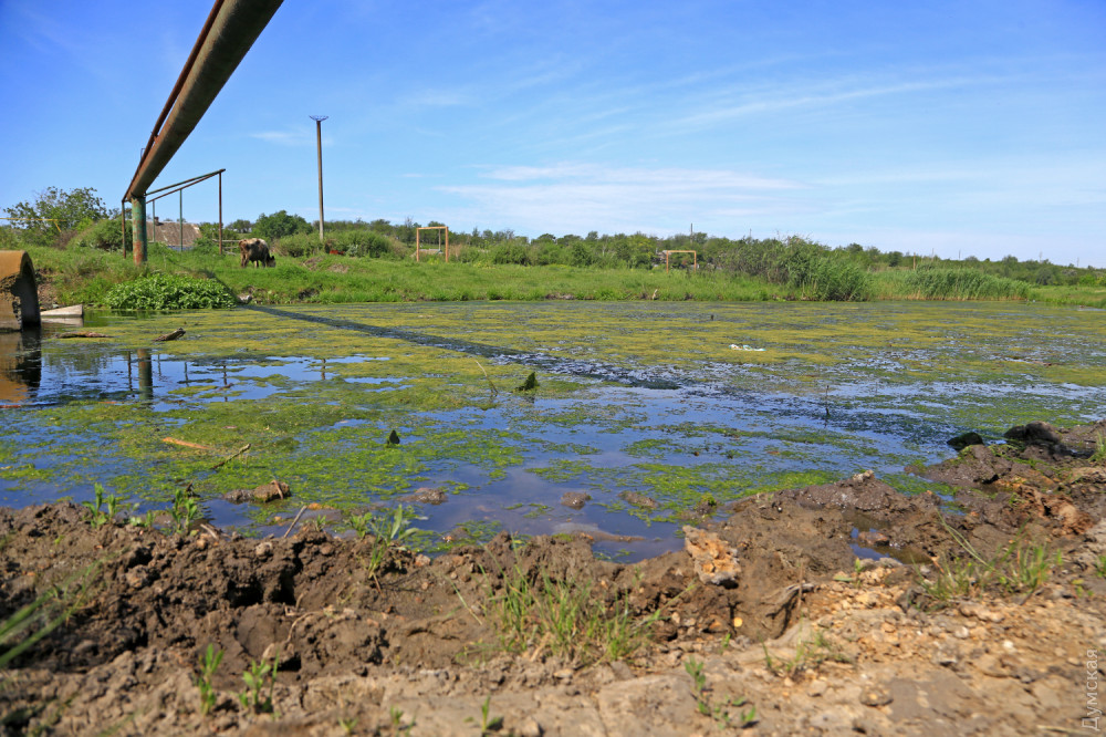 ���� �������