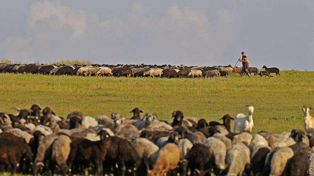 ����� ����� �������� ����� ����