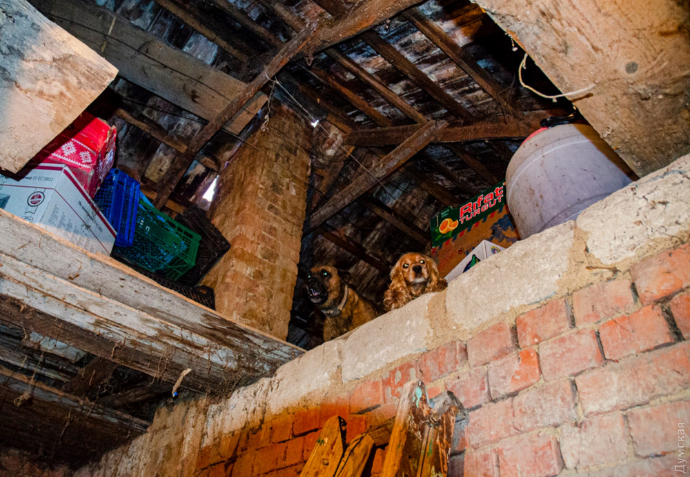 ������ �� ��� ��� ������ ���������� �� ����