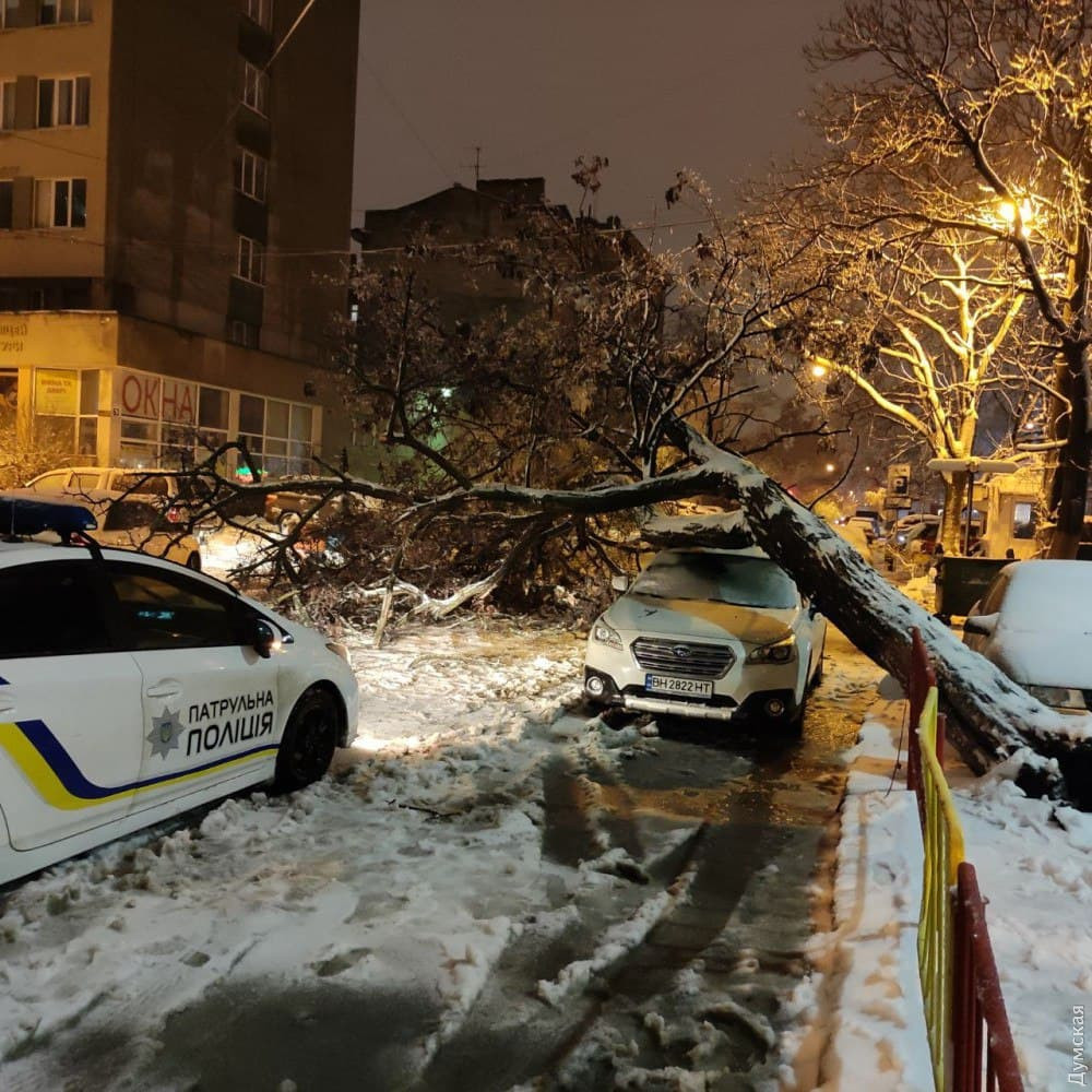 ���� ��������