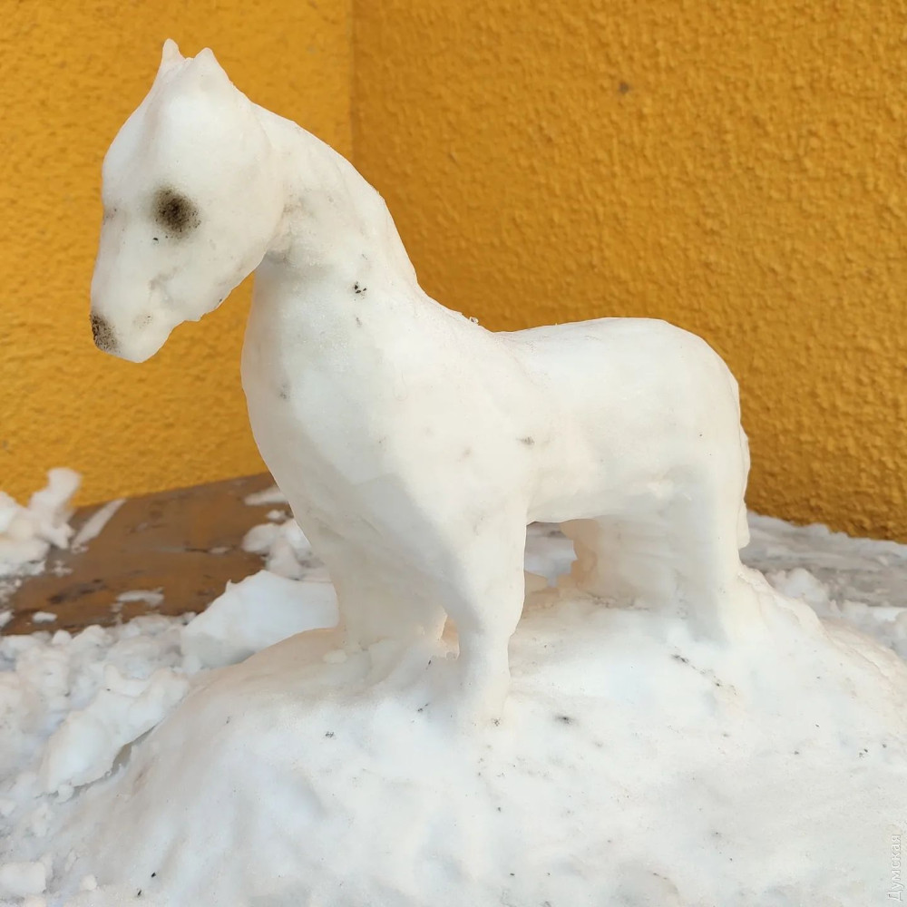 ������ ���������