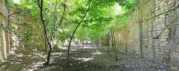 �� ����� ��������� ������� ��������� ���. ������� ���������