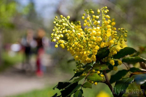 ������� �������������