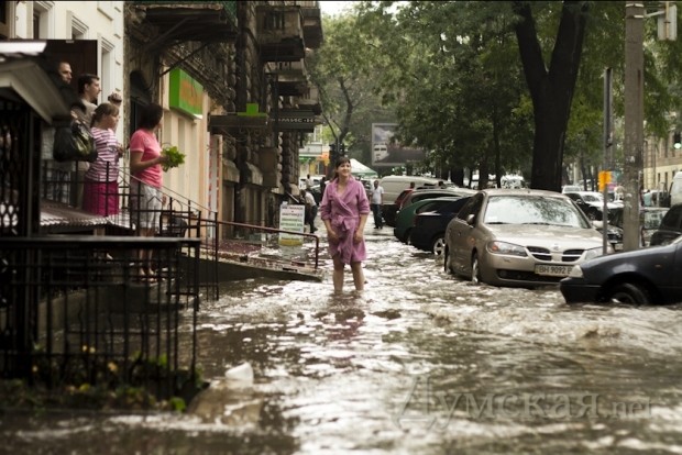 ���������. ����: ������������ "�������"