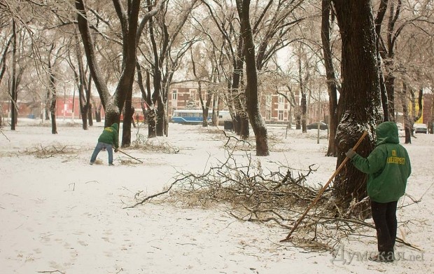 �� ����������� ������� �������� ��������� "��������������"