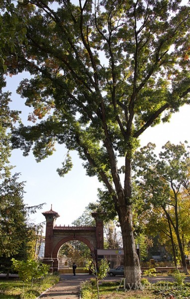 �� ���������� ������ ������ ��� ���-�������� 