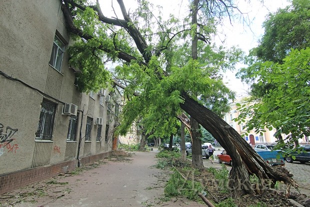 ��������������� ���� ���������