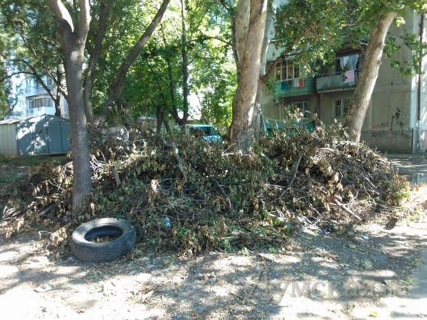 ��. ����� ������