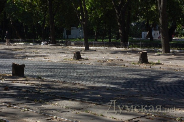 ����� � ������ "������" �������