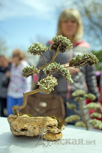 �������� ��������