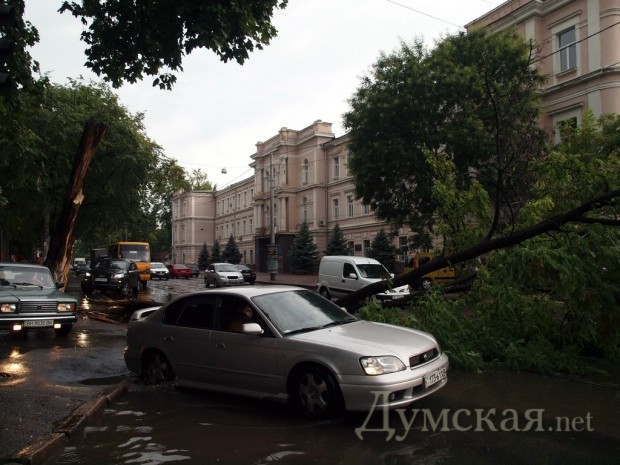 �������� ������ ������������ �������� ����� ��������������������� � ����������� � �����������������. ���������, ������� ��������, ���� �� ��������. ������� �����. ����: �. ���������