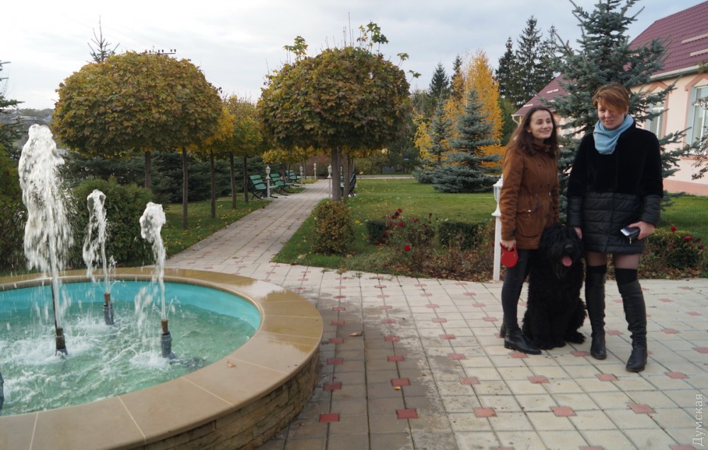 ������� ���������� ���� 