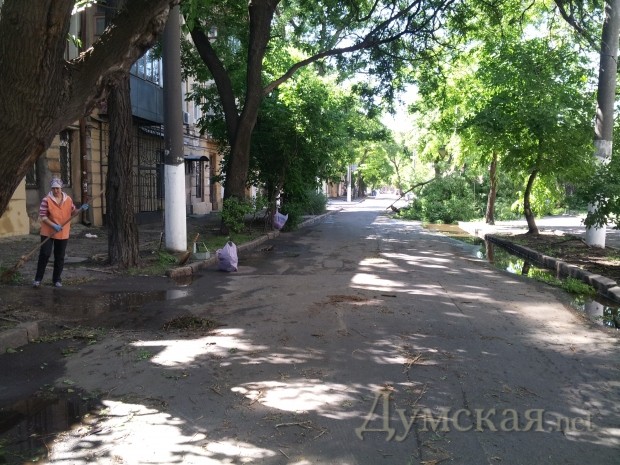 ����� �����������. ����� ������ ���� ��������� ����� �������� ���������