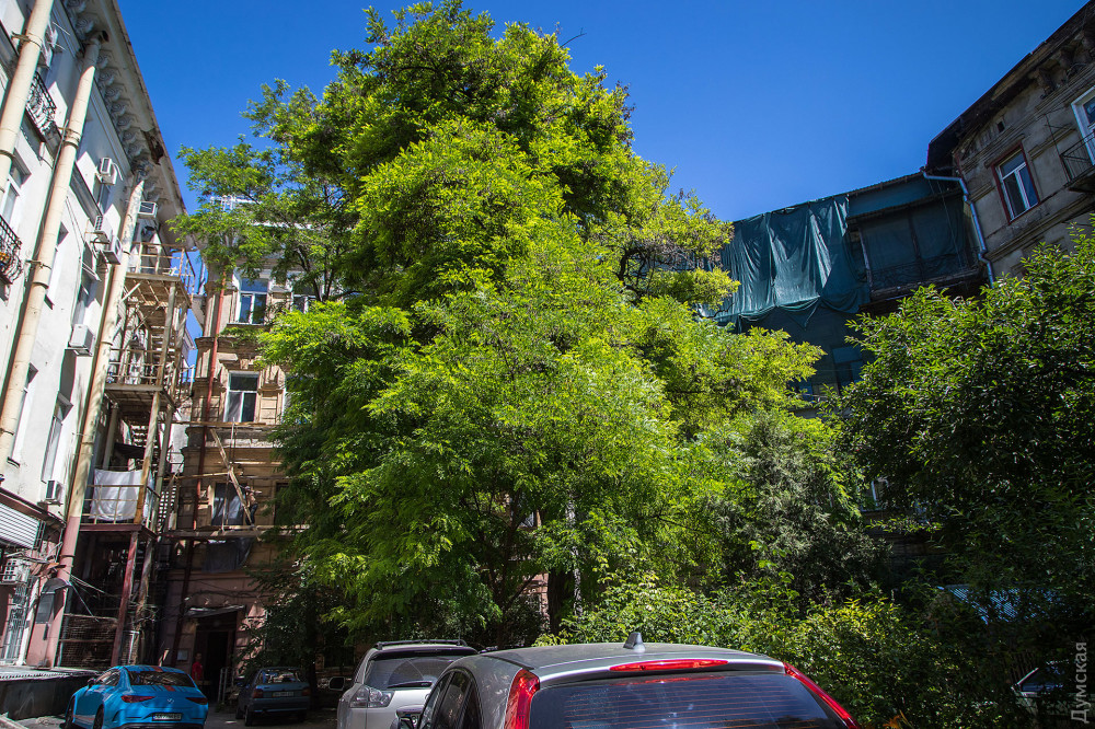 �������� ����� ���� ������� ������. ��� ����� ��������