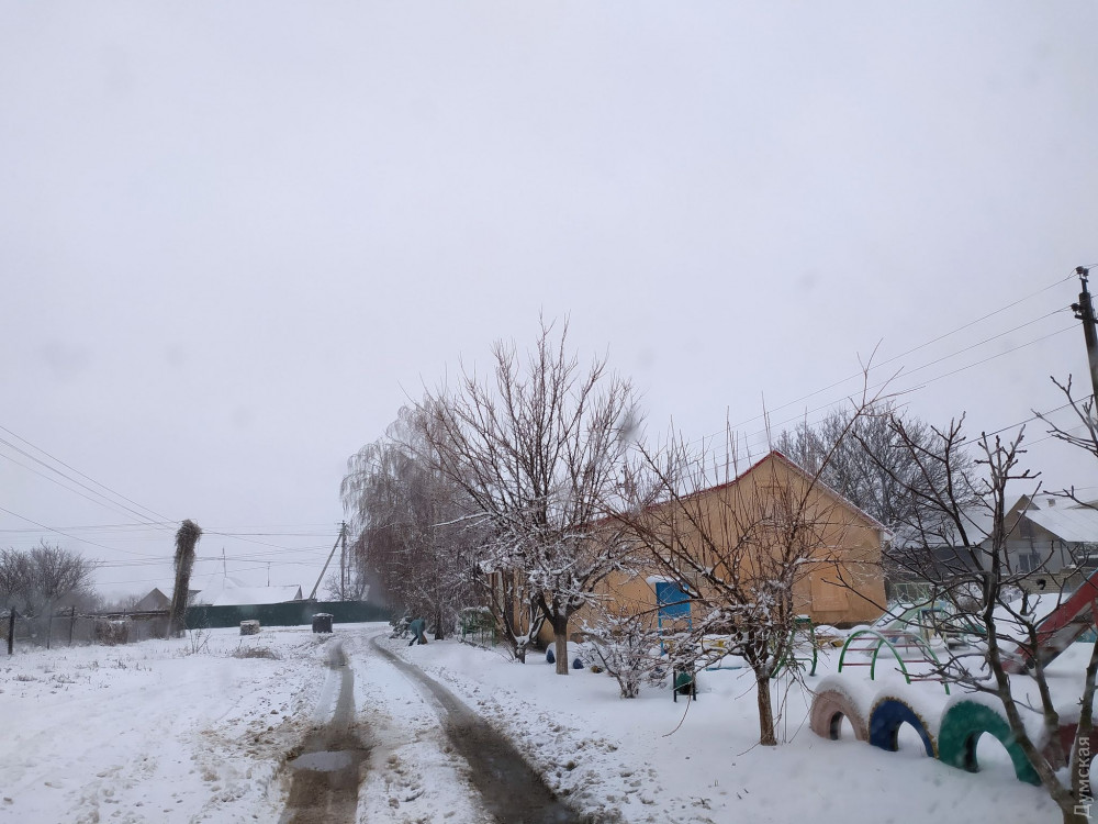 ���� ��������