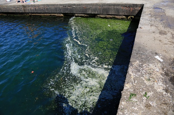 ���� ������� ���� ����� ����������. �� �����������, ��� � ����� ����� ����� ����� ���